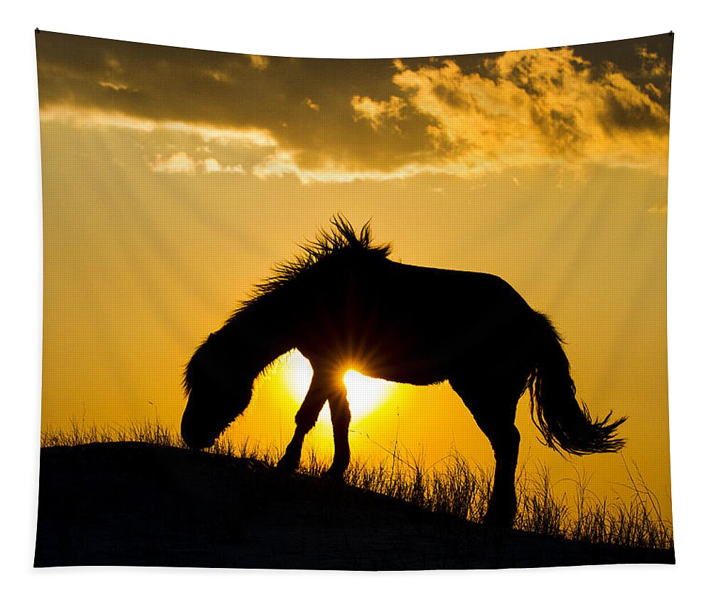 Horse Tapestry featuring the photograph Wild Horse and Setting Sun by Bob Decker