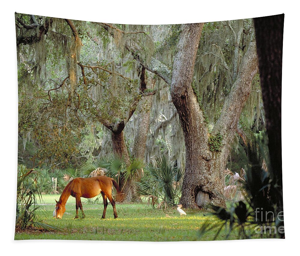 Landscape Tapestry featuring the photograph Wild Horse on Cumberland Island in Georgia by Art Wolfe