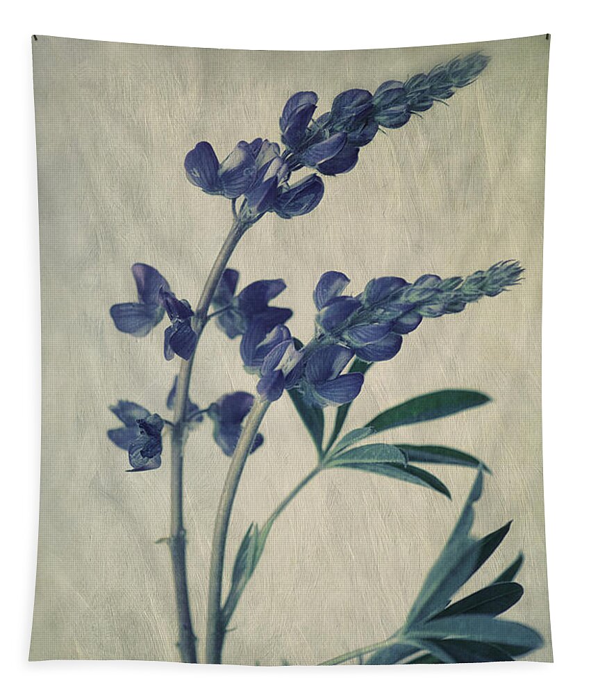Lupine Tapestry featuring the photograph Wild Lupine by Priska Wettstein