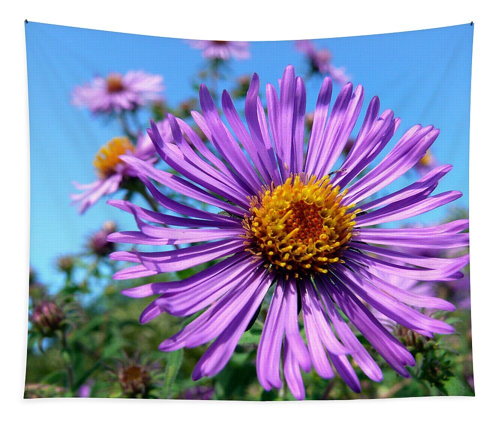 Wildflower Tapestry featuring the photograph Purple Aster Wildflower by Christina Rollo