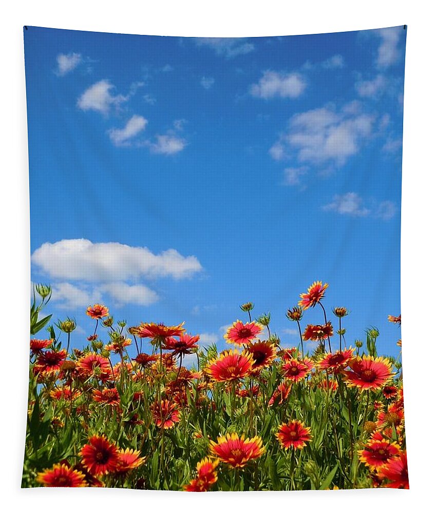 Wild Flower Tapestry featuring the photograph Wild Red Daisies #6 by Robert ONeil