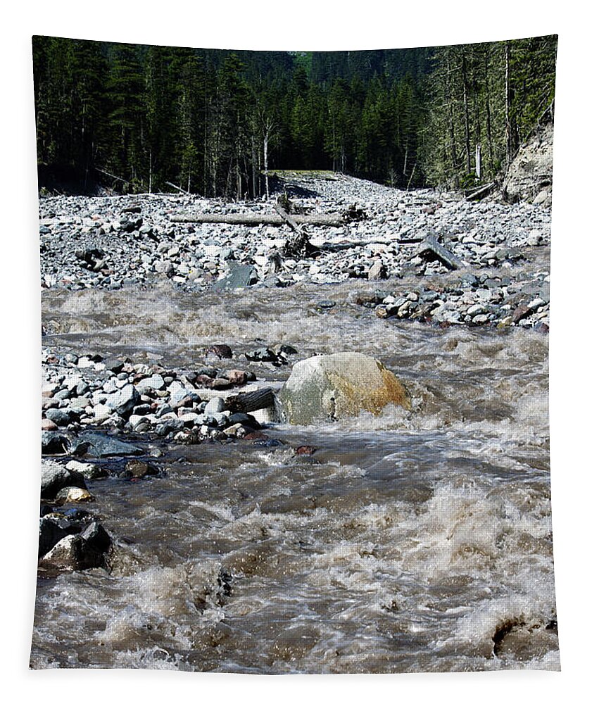 Nisqually River Tapestry featuring the photograph Wild River by Edward Hawkins II