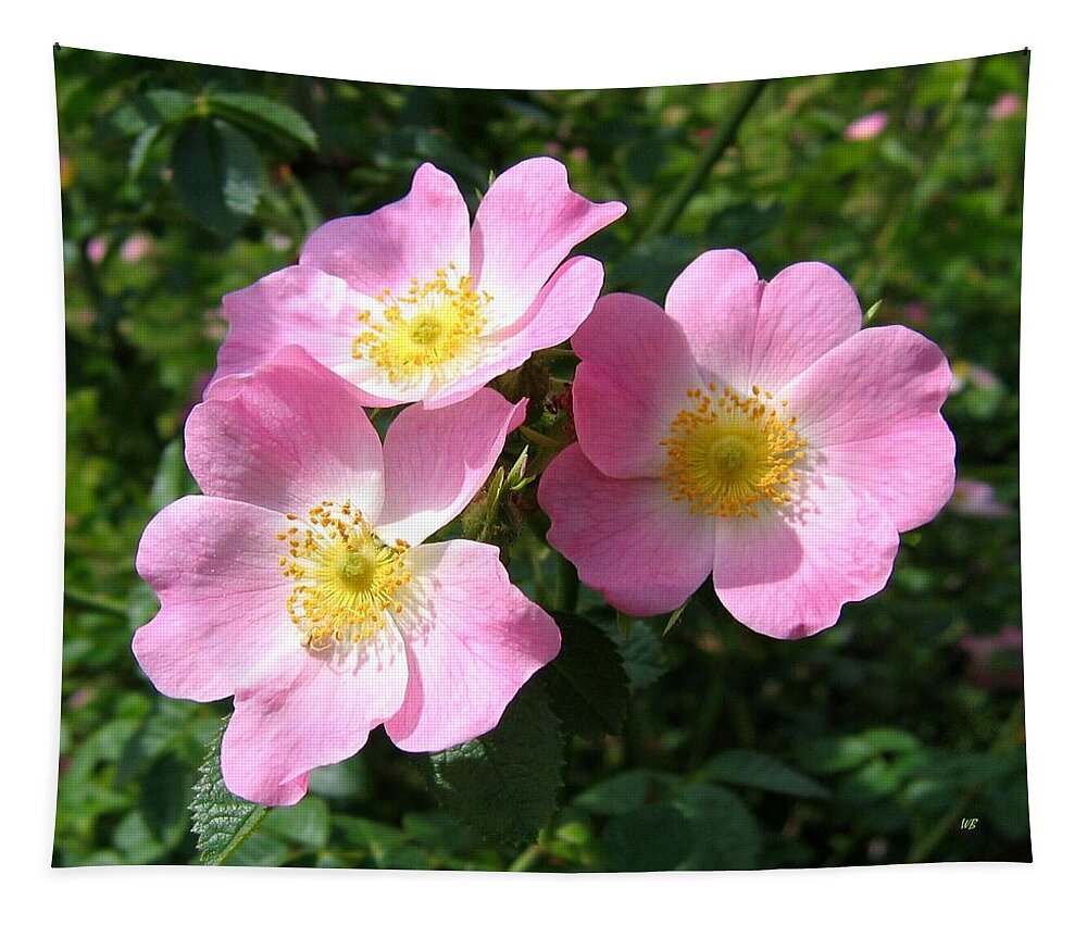 Wild Roses Tapestry featuring the photograph Wild Roses 1 by Will Borden