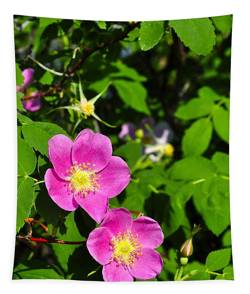 Rose Tapestry featuring the photograph Wild Roses by Cathy Mahnke