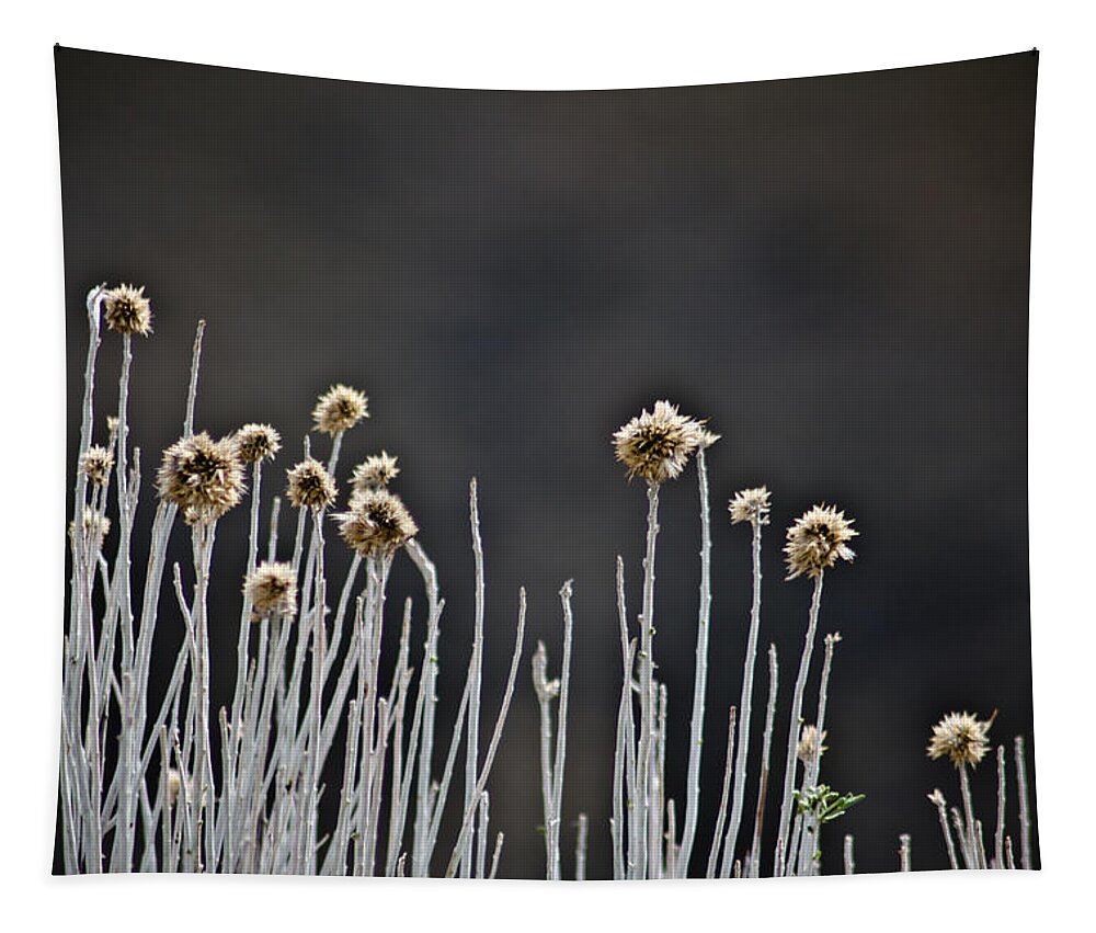 Wildflower Tapestry featuring the photograph Wild Things 1 by Joel Loftus