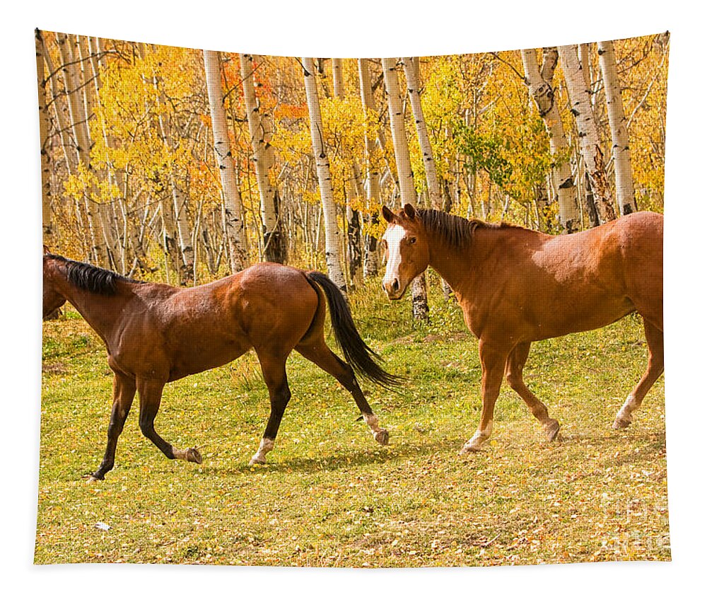 Horses Tapestry featuring the photograph Wild Trotting Autumn Horses by James BO Insogna