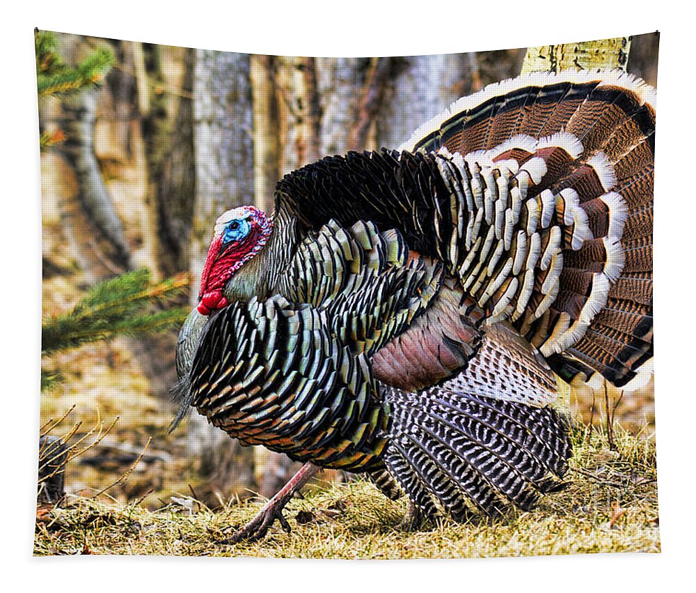Wild Turkey Tapestry featuring the photograph Wild Turkey by Gary Beeler