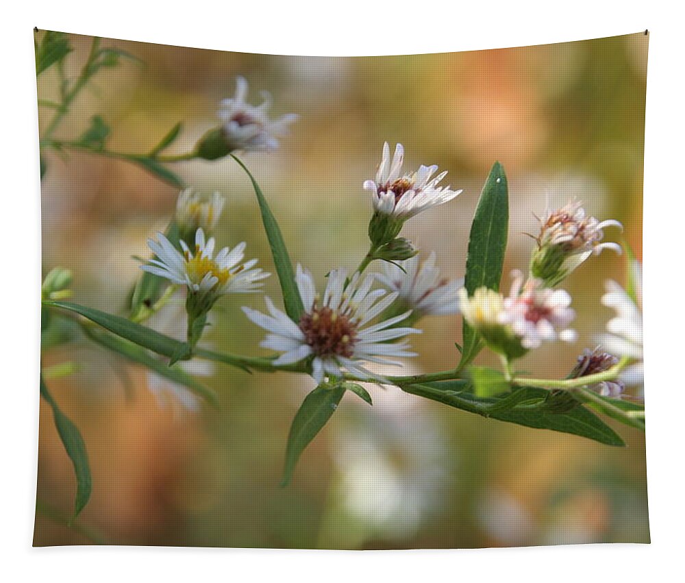 Wild Flower Tapestry featuring the photograph Wildflowers by Valerie Collins