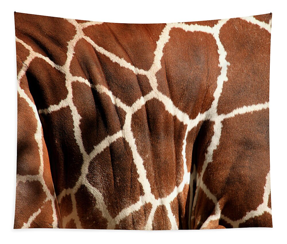 Giraffe Tapestry featuring the photograph Wildlife Patterns by Aidan Moran