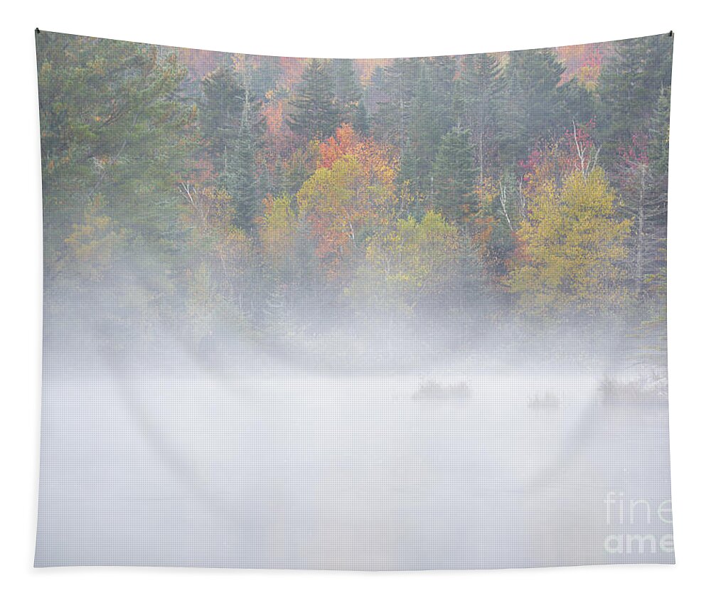 America Tapestry featuring the photograph Wildlife Pond - Bethlehem New Hampshire USA by Erin Paul Donovan
