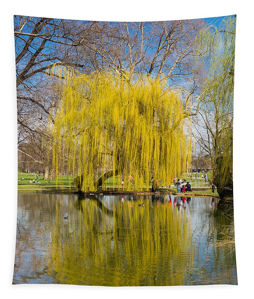 Willow Tapestry featuring the photograph Willow tree water reflection by Matthias Hauser