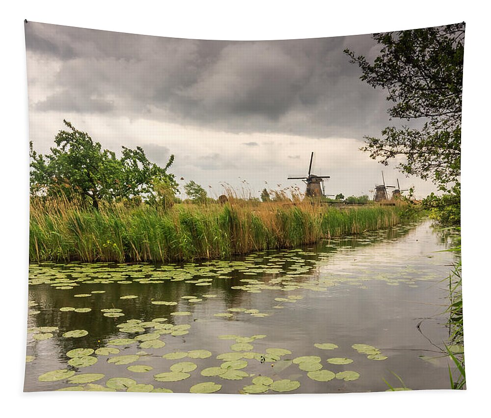 Bushes Tapestry featuring the photograph Windmills by the canal by Sue Leonard