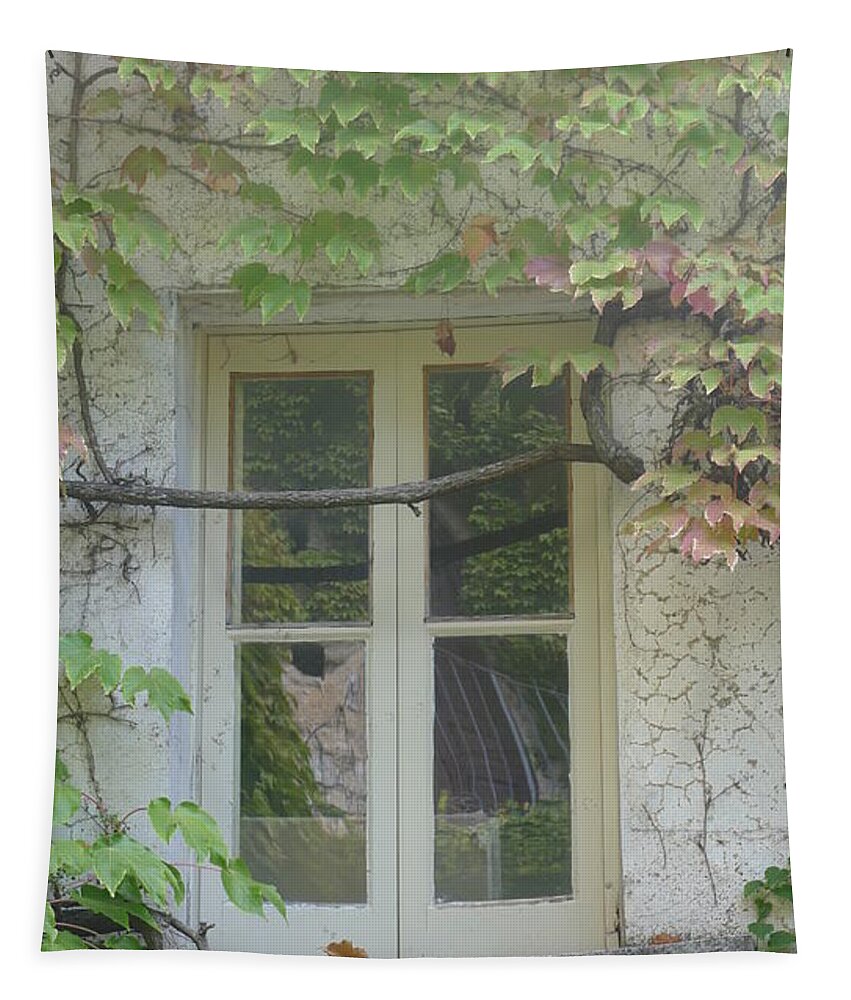 Tapestry featuring the photograph Window and Ivy II by Nora Boghossian