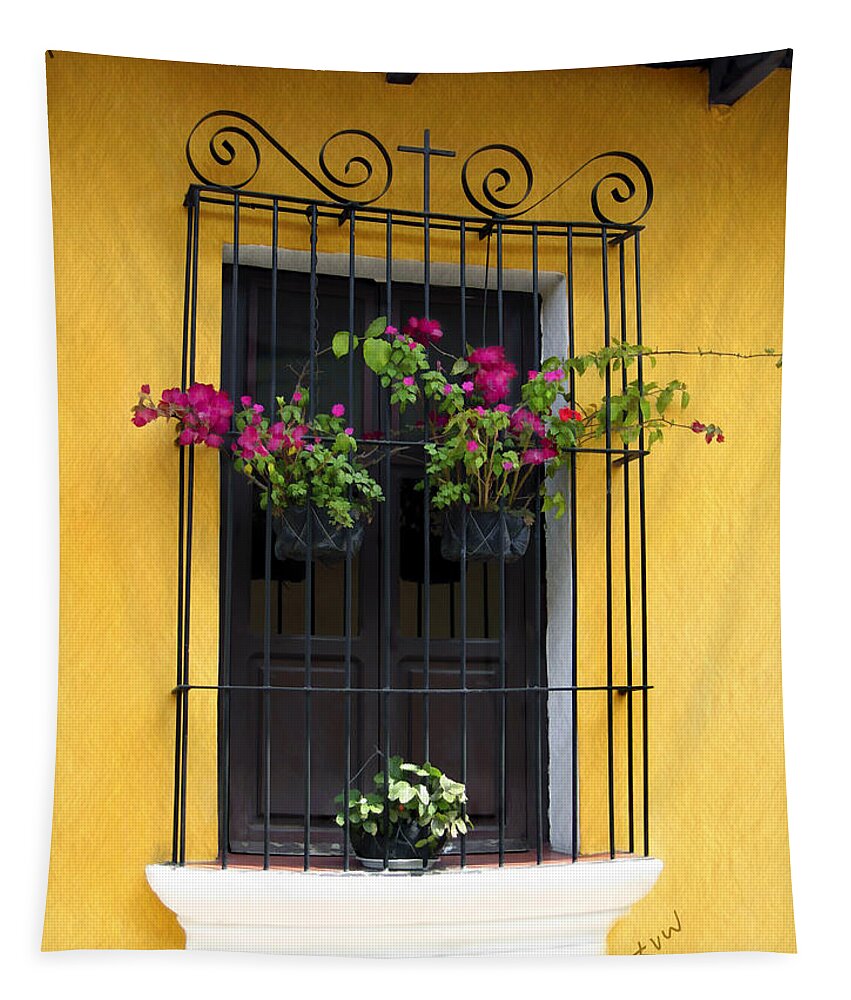 Antigua Tapestry featuring the photograph Window at Old Antigua Guatemala by Kurt Van Wagner