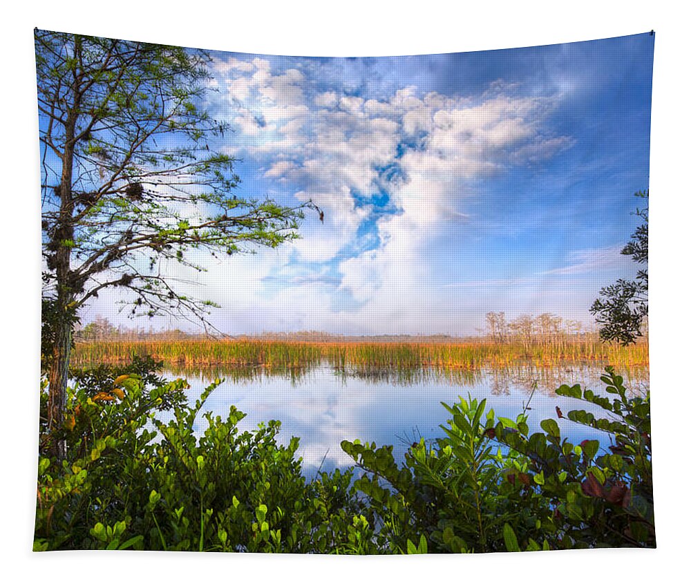 Clouds Tapestry featuring the photograph Window to the Everglades by Debra and Dave Vanderlaan