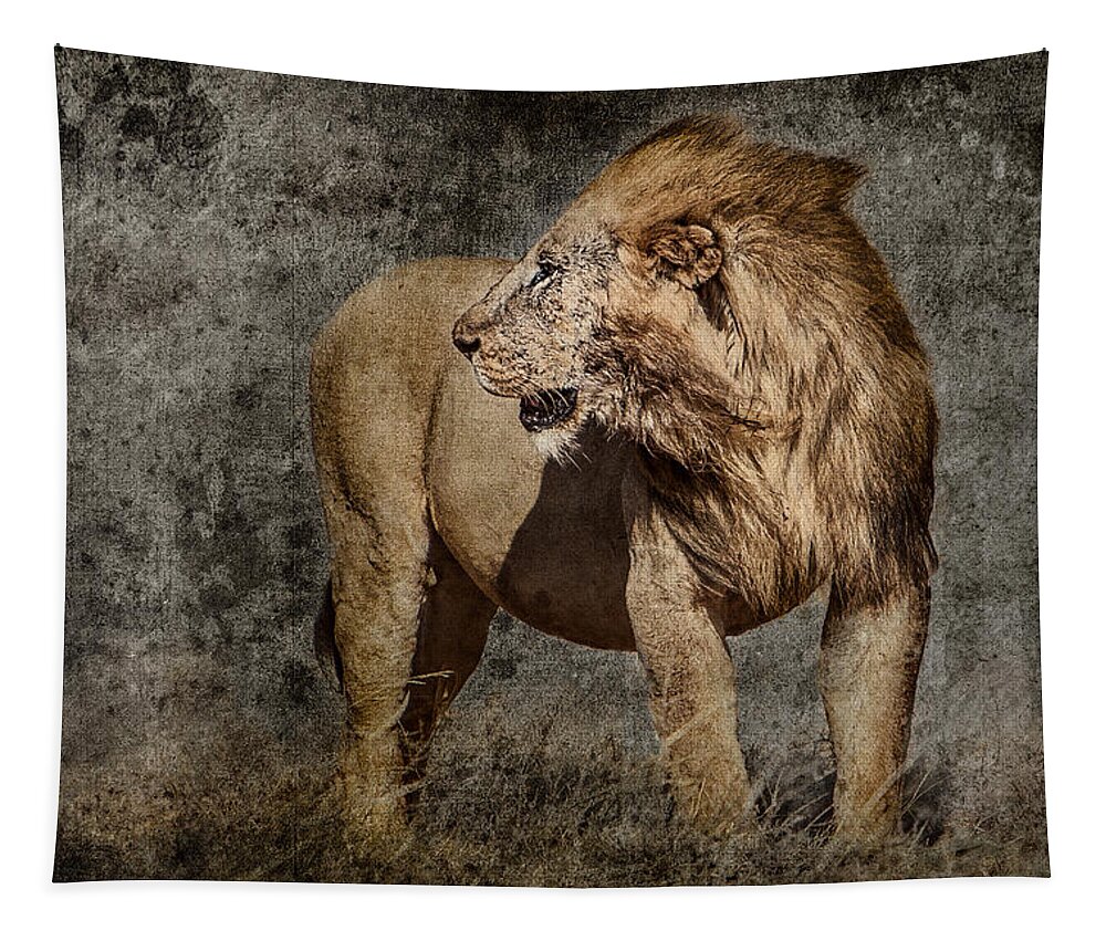 Africa Tapestry featuring the photograph Windswept Lion by Mike Gaudaur