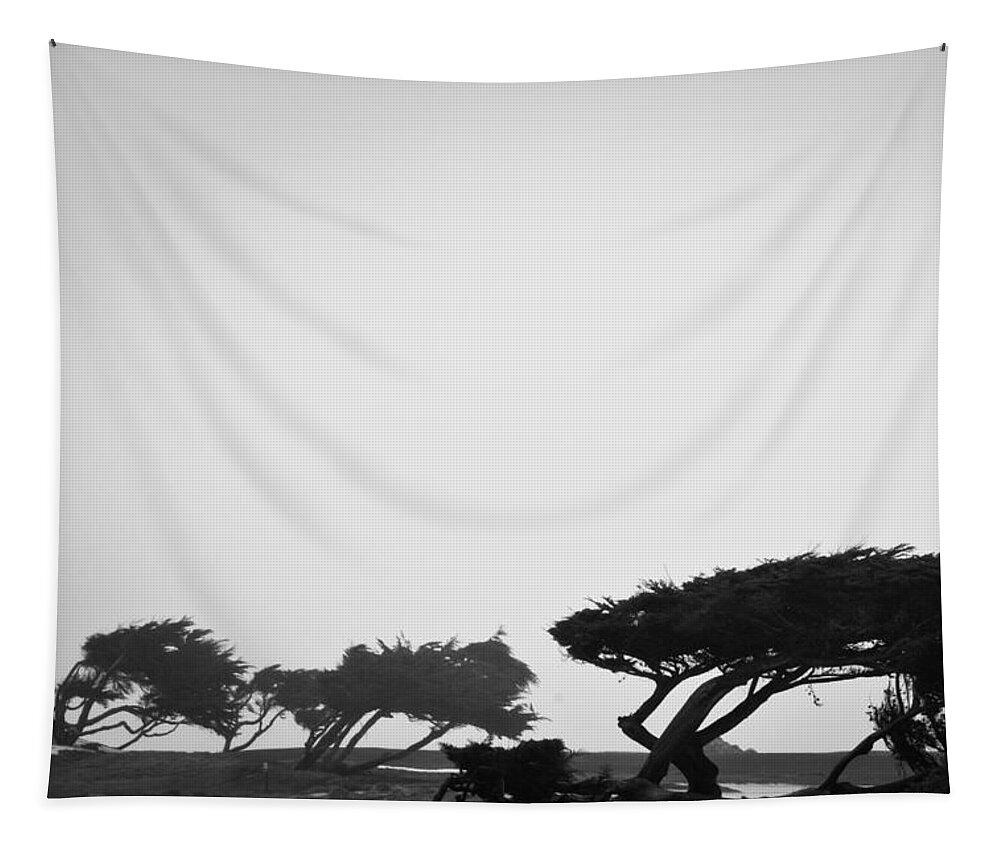 2012 Tapestry featuring the photograph Windswept Shoreline by Melinda Ledsome