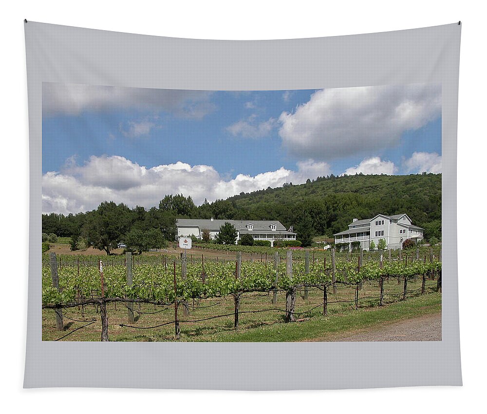 Guy Whiteley Tapestry featuring the photograph Wine Country by Guy Whiteley