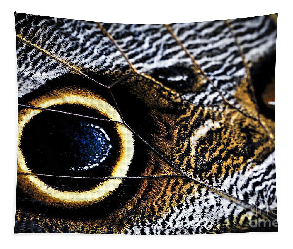 Caligo Tapestry featuring the photograph Wing of Owl Butterfly by Elena Elisseeva