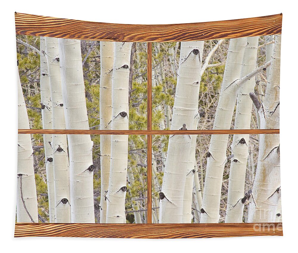 Trees Tapestry featuring the photograph Winter Aspen Tree Forest Barn Wood Picture Window Frame View by James BO Insogna