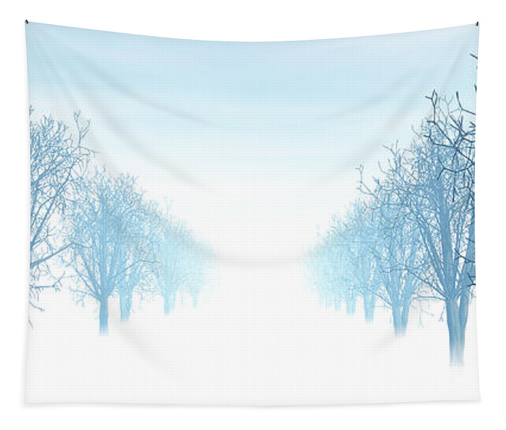 Avenue Tapestry featuring the digital art Winter Avenue by Nicholas Burningham