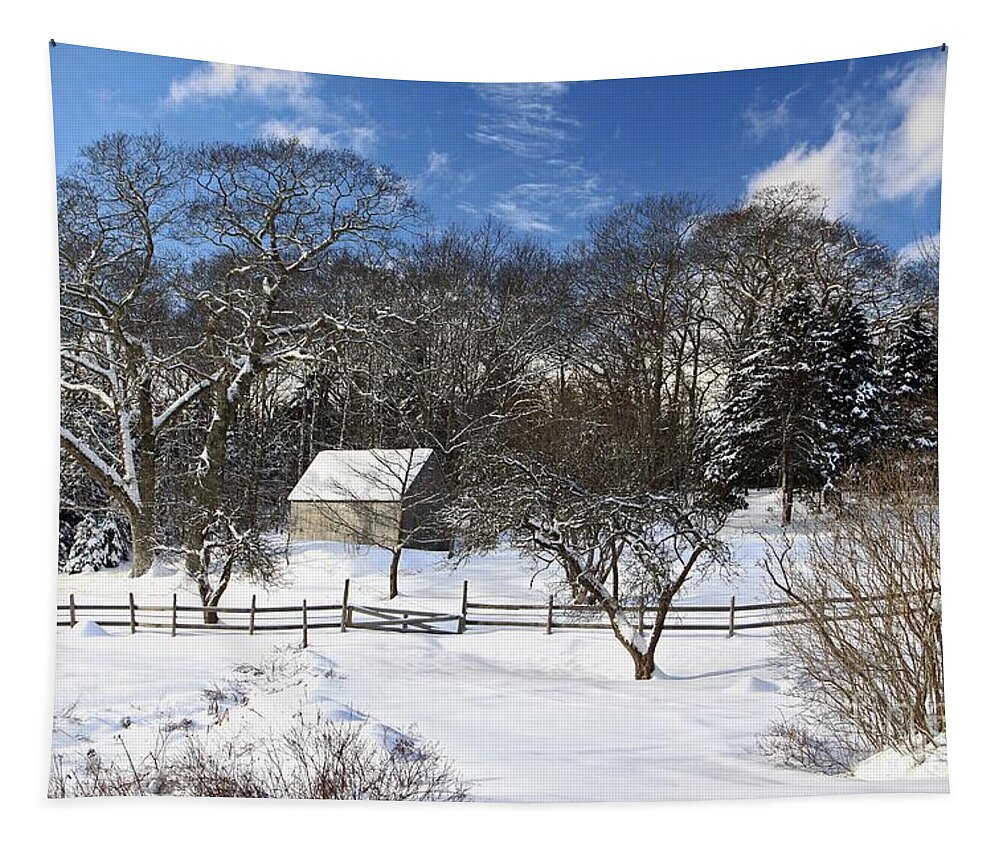 Maine Tapestry featuring the photograph Winter Barn by Karin Pinkham