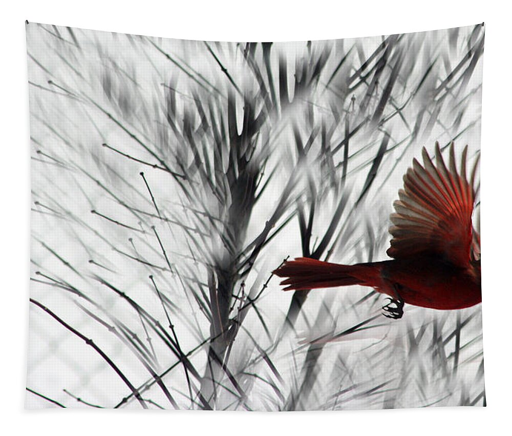 Cardinal Tapestry featuring the photograph Winter Cardinal by Heather Applegate