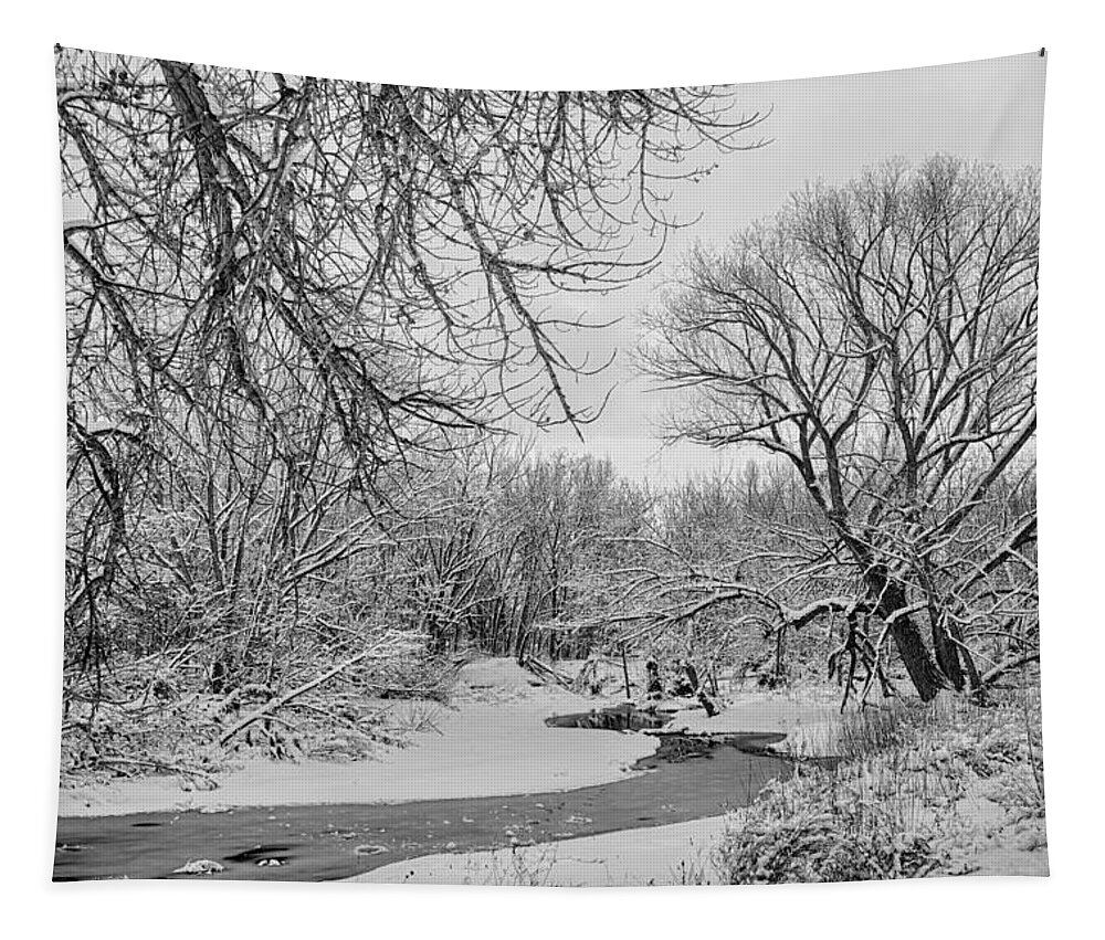 Winter Tapestry featuring the photograph Winter Creek in Black and White by James BO Insogna