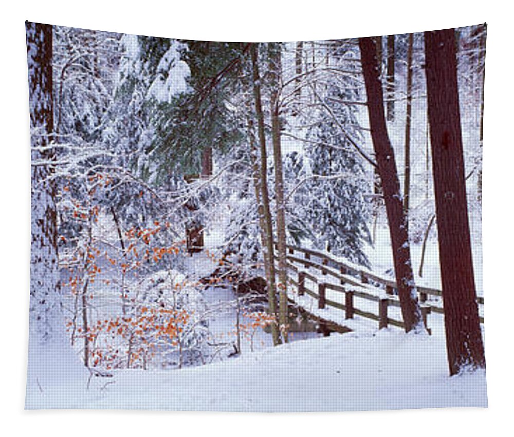 Photography Tapestry featuring the photograph Winter Footbridge Cleveland Metro by Panoramic Images