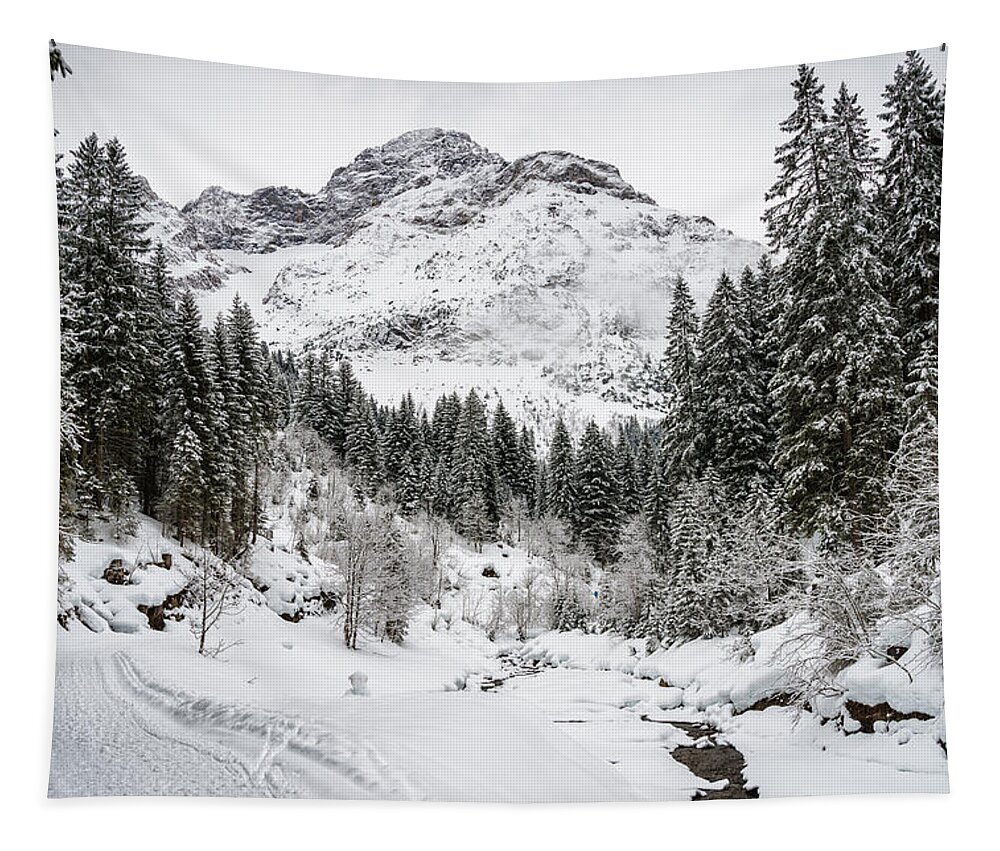 Winter Tapestry featuring the photograph Winter in Baergunt Valley Kleinwalsertal Austria by Matthias Hauser