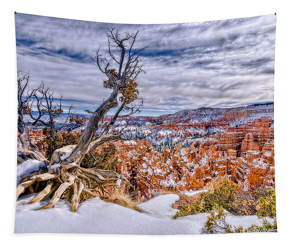 Christopher Holmes Photography Tapestry featuring the photograph Winter In Bryce Canyon by Christopher Holmes
