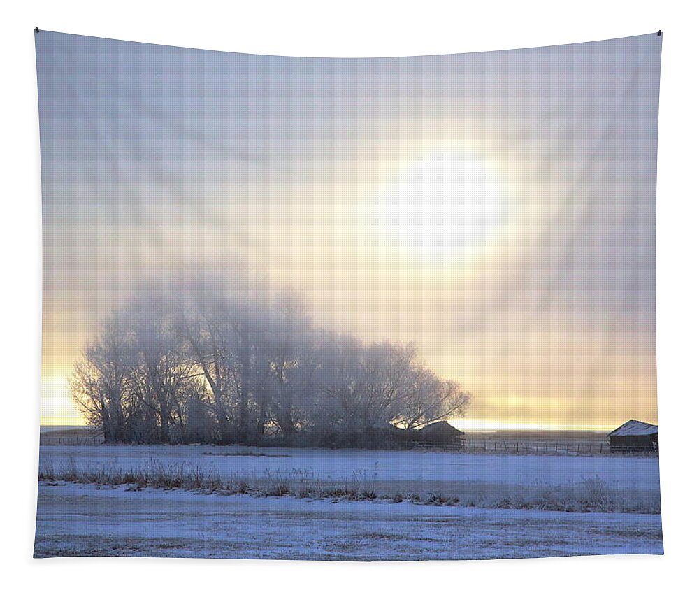 Bear Lake Tapestry featuring the photograph Winter Mist by David Andersen