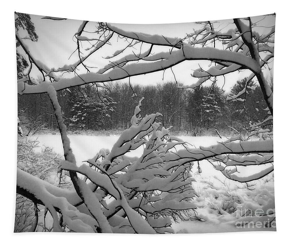 Winter Tapestry featuring the photograph Winter Pond by Kathi Mirto