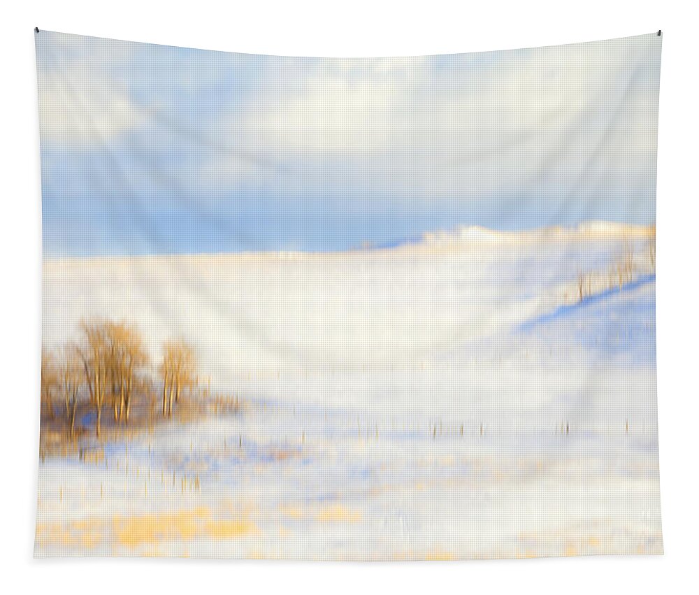 Winter Tapestry featuring the photograph Winter Poplars by Theresa Tahara