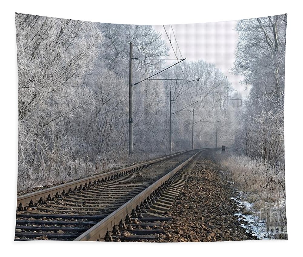 Train Tapestry featuring the photograph Winter railroad by Martin Capek