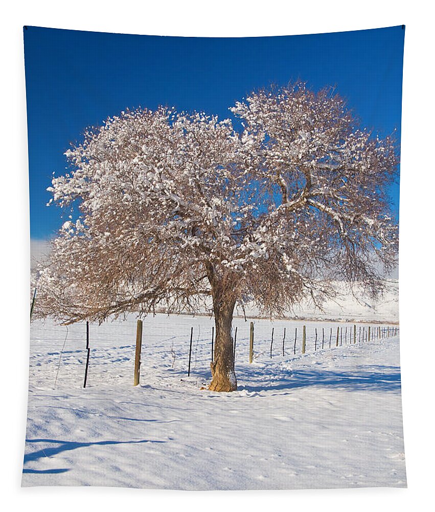 Tree Tapestry featuring the photograph Winter Season on the Plains Portrait by James BO Insogna