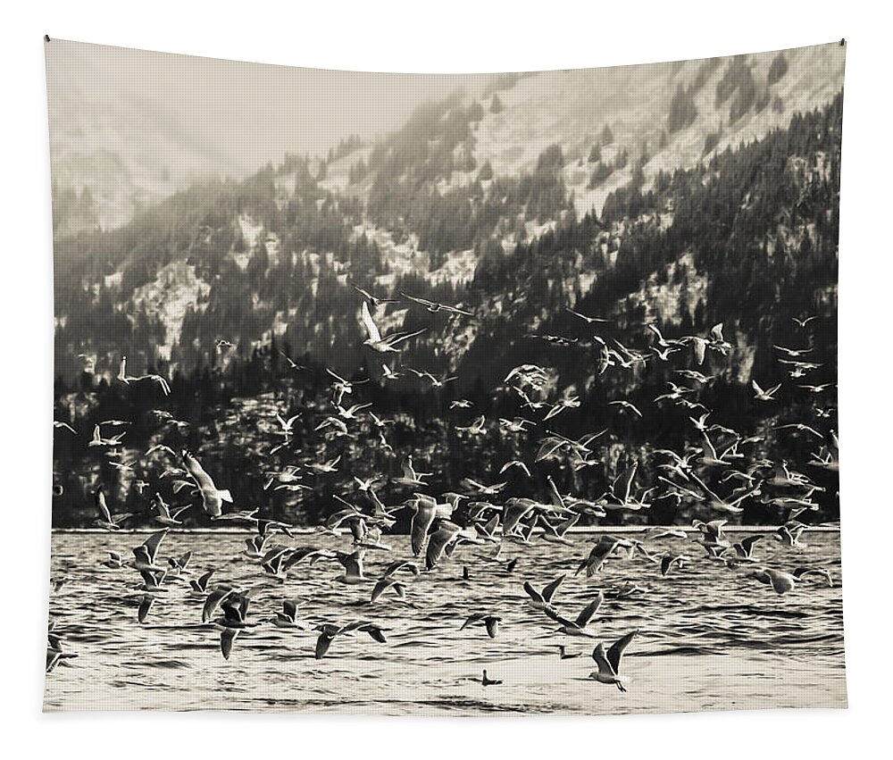 Alaska Tapestry featuring the photograph Winter Shorebirds in Flight by Michele Cornelius