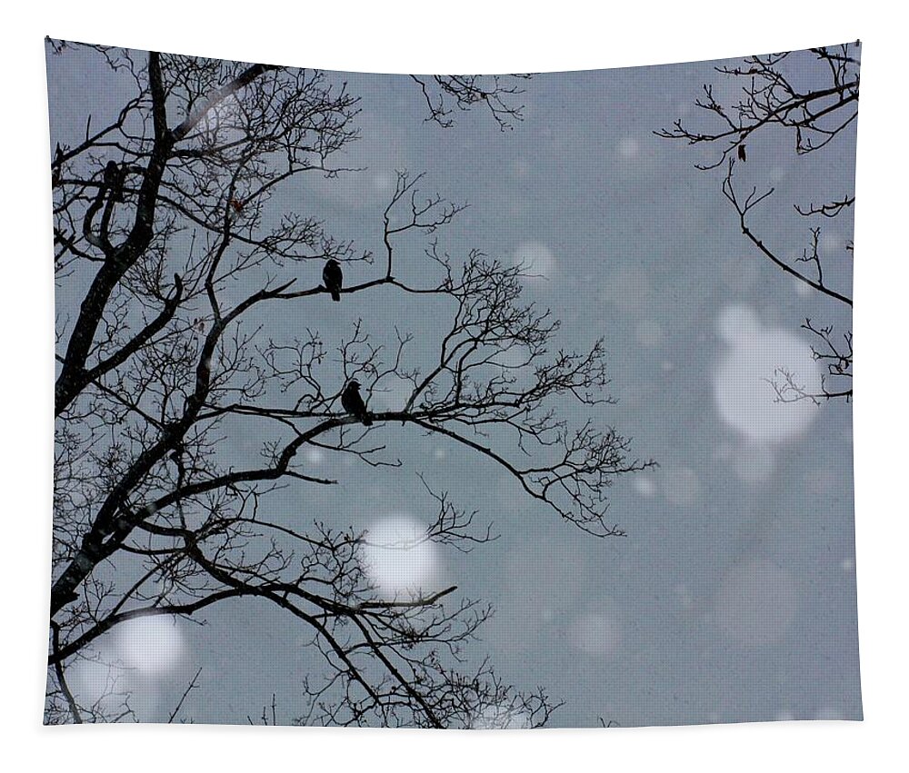Snowflakes Tapestry featuring the photograph Winter Sky by Gothicrow Images