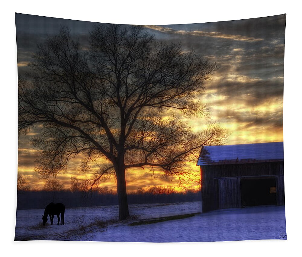Winter Tapestry featuring the photograph Winter Sunset by Skip Tribby