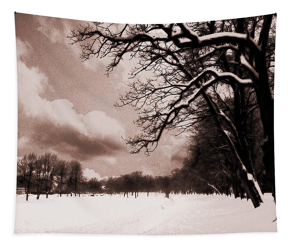 Winter Tapestry featuring the photograph Winter Tale by Nina Ficur Feenan