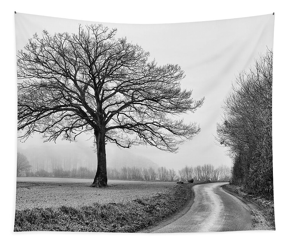 Tree Tapestry featuring the photograph Winter Tree by Jurgen Lorenzen