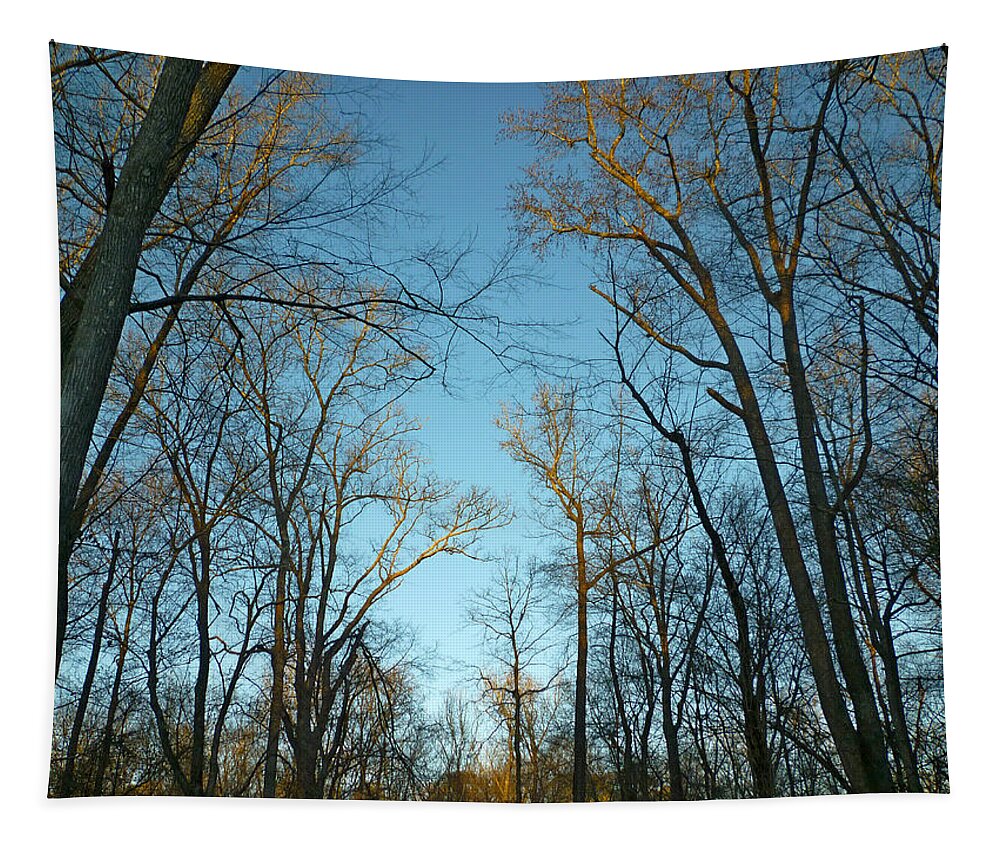 Park Tapestry featuring the photograph Winter Trees by Pete Trenholm