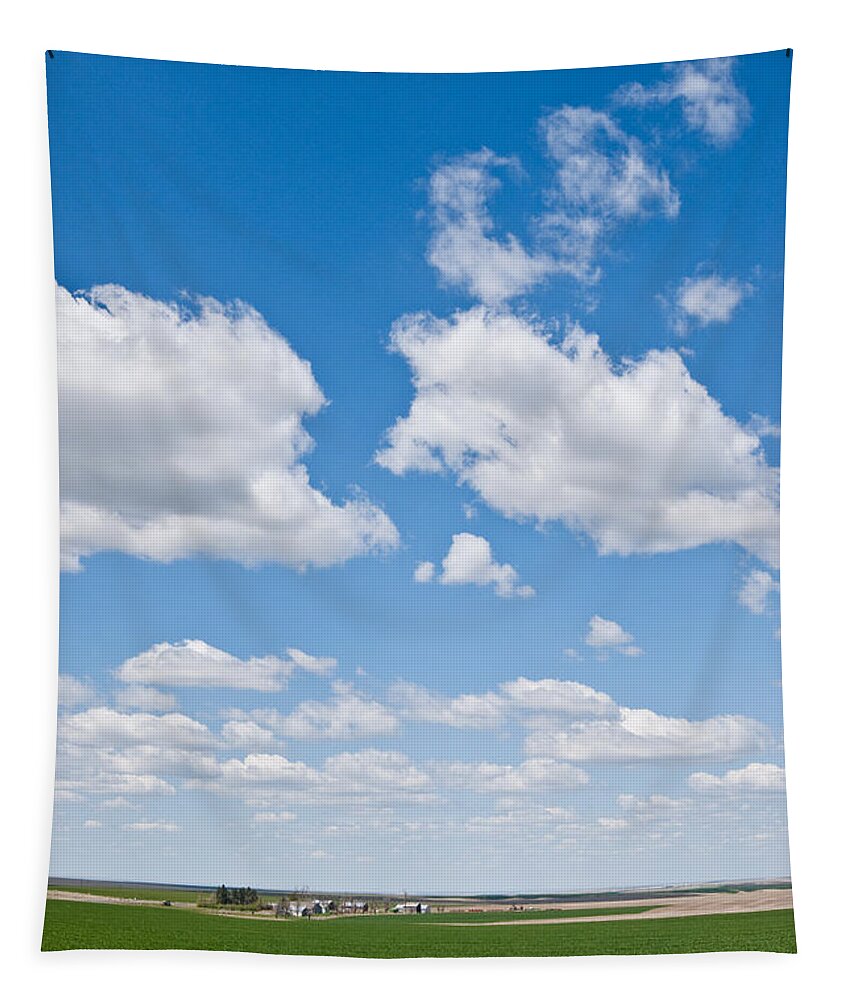 Agriculture Tapestry featuring the photograph Winter Wheat Farm in the Palouse by Jeff Goulden