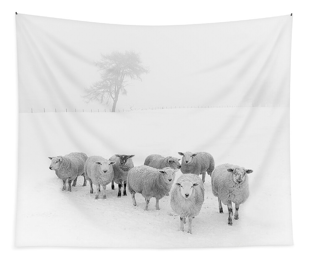 Sheep In Winter Tapestry featuring the photograph Winter Woollies by Janet Burdon