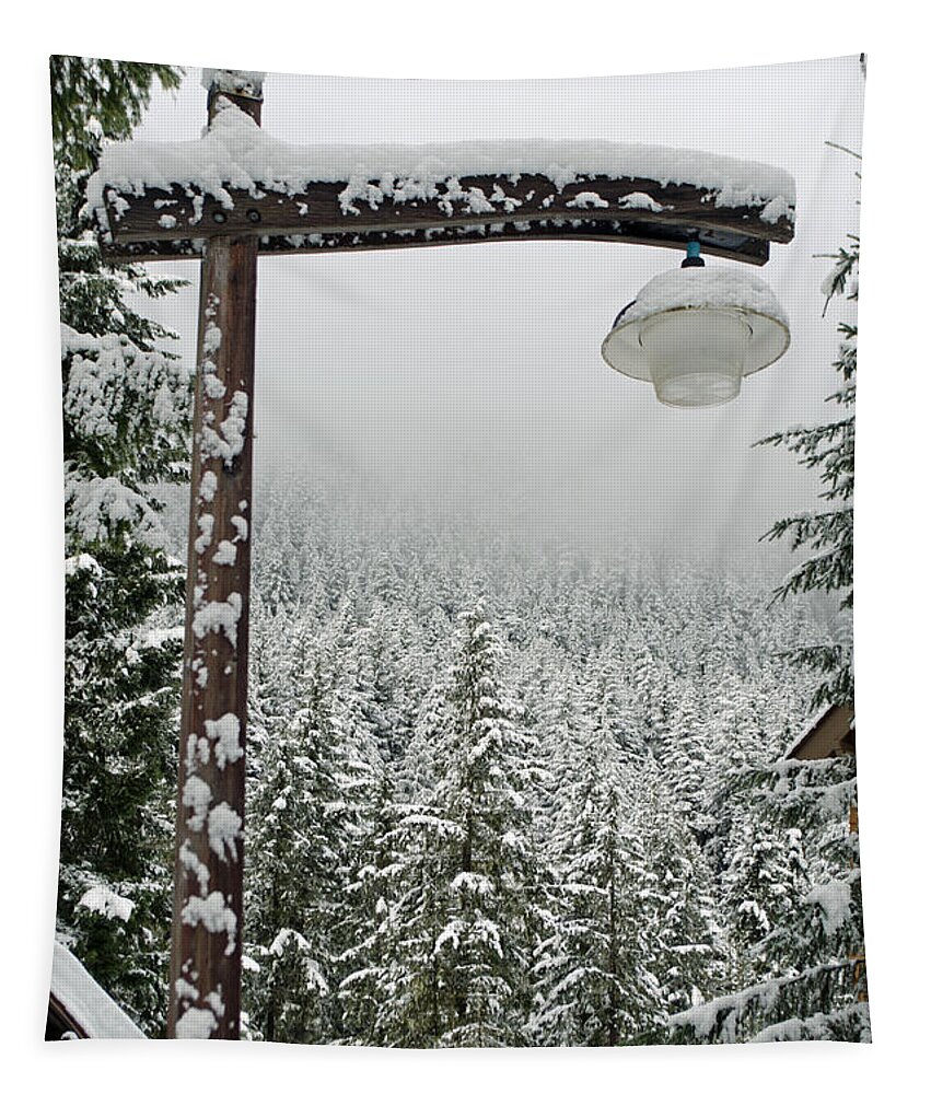 Winter Lamp Post Tapestry featuring the photograph Winter's Lamp Post by Tikvah's Hope