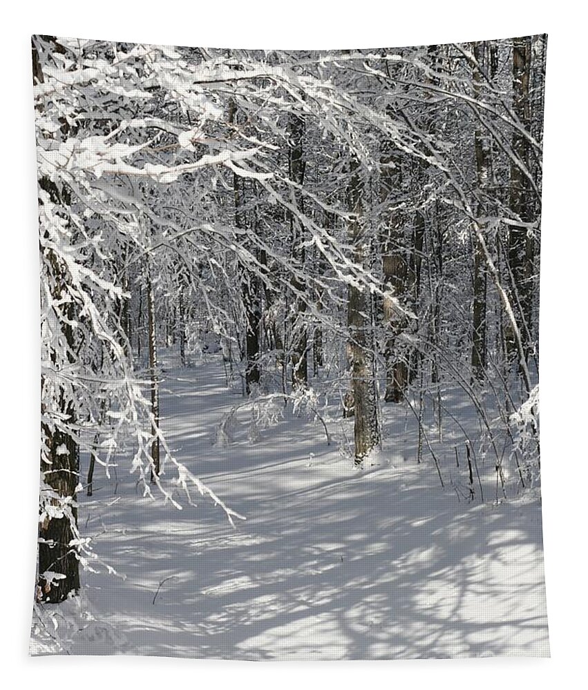Winter Tapestry featuring the photograph Wintery Woodland Shadows by Patricia Overmoyer