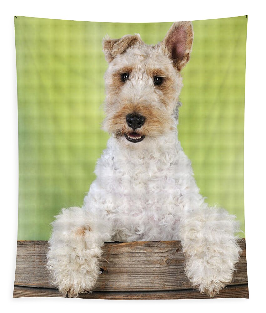 Dog Tapestry featuring the photograph Wire Fox Terrier by John Daniels
