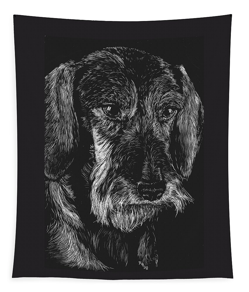 Dachshund Tapestry featuring the drawing Wire Haired Dachshund by Rachel Bochnia