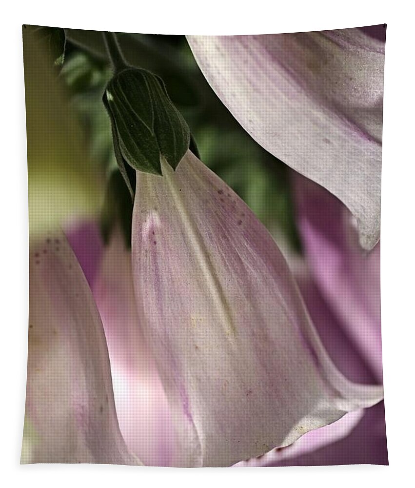 Lamiales Tapestry featuring the photograph With Foxglove by Joy Watson