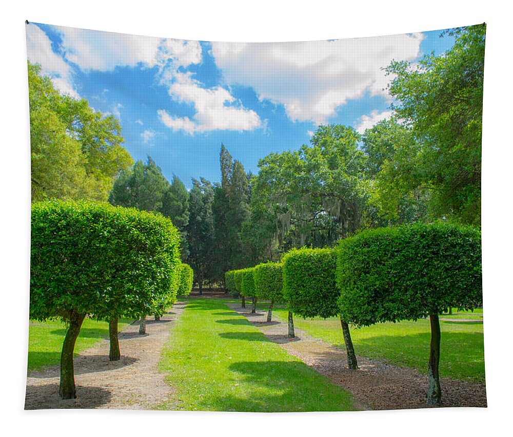 Bok Tower Tapestry featuring the photograph Wonderland 1 by Shannon Harrington
